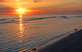 Picture of a Sanibel Island Sunset.