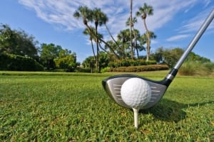 Picture of Sanibel Island golf course.